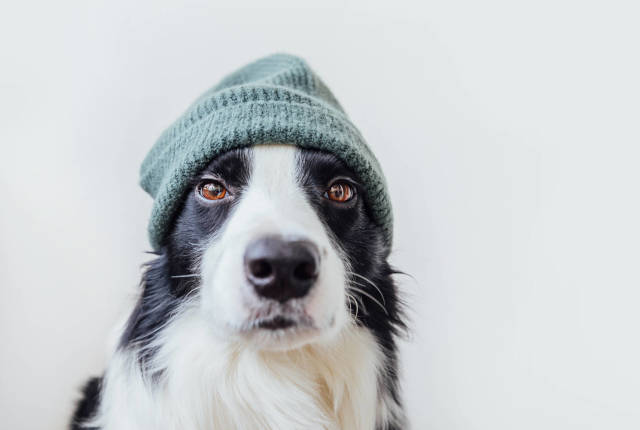 mejemer ethiopia amaharic the poem 365